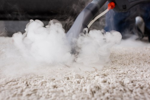 How Can I Disinfect My Carpet? 