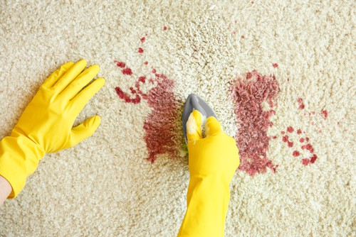 How To Remove Blood Stains From Carpets?