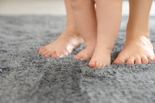 Understanding Carpet Flooring Allergies