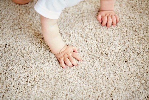 Enhancing Carpet Longevity with UV Protection